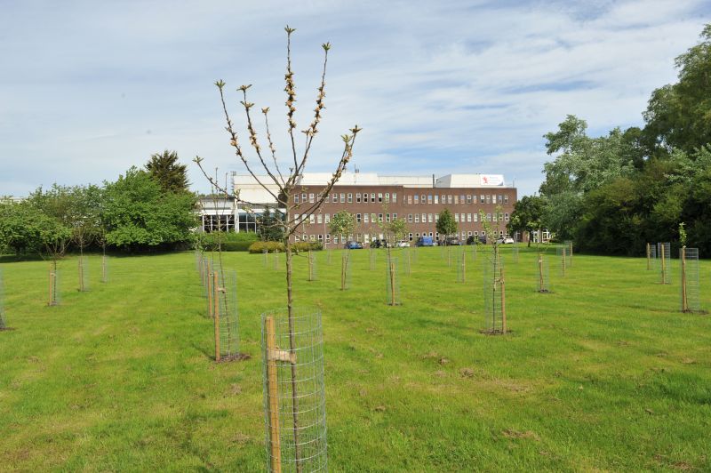 Materials Processing Institute creates biodiverse hotspot